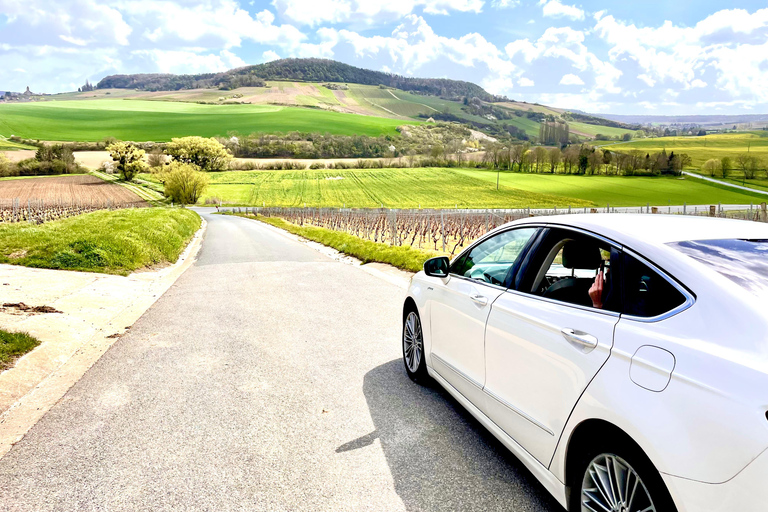 Medoc Tour : Margaux, Saint Estèphe och girighet