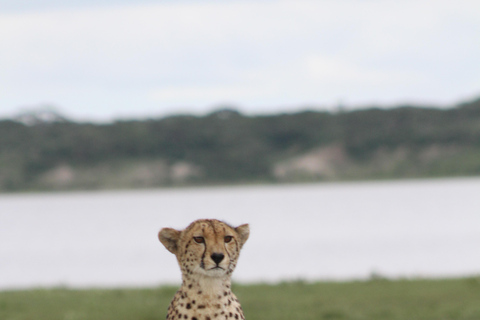 Arusha: 6-Day Safari to Tarangire, Lake Manyara, and …