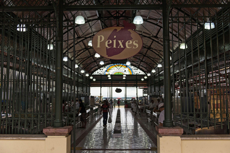Manaus: Guided Walking Tour with Museum Entry