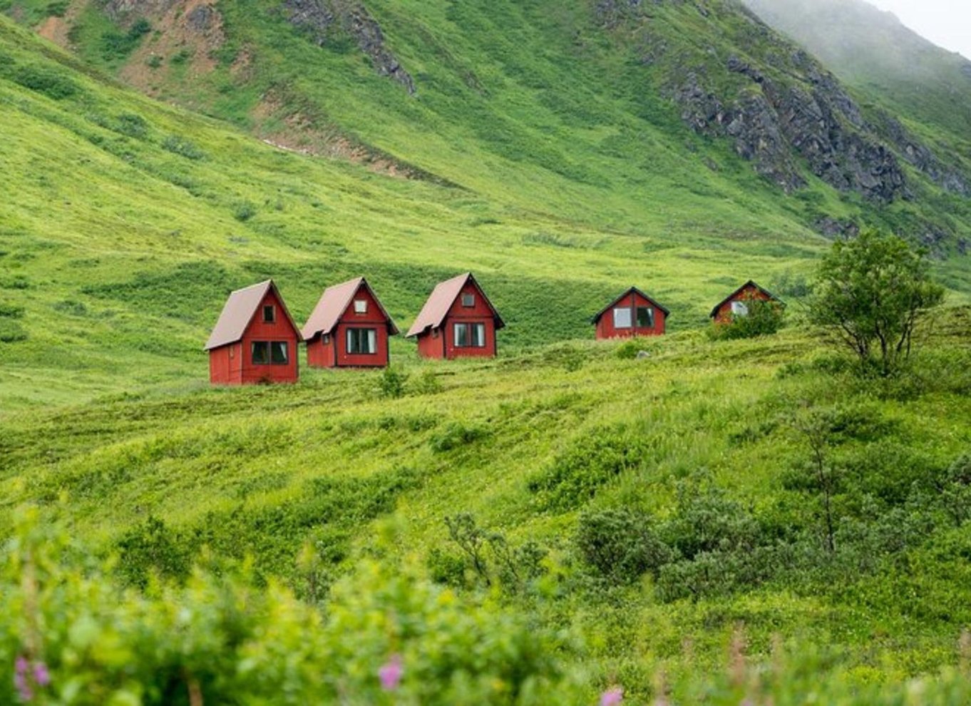 Hatcher Pass og rensdyr-eventyr – afhentning ved ankerplads