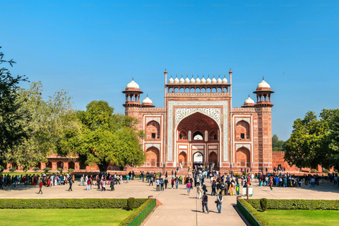 From Delhi: Golden Triangle & Ranthambore Tiger Safari Tour Only Tour Guide Services