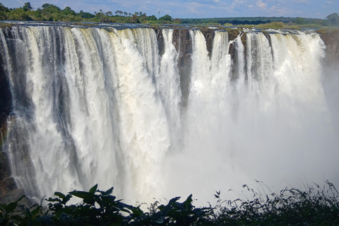 Victoria Falls: Private Guided less crowded afternoon tour