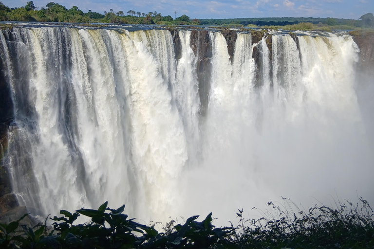 Victoria Falls: Private Guided less crowded afternoon tour
