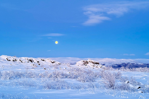 Arctic Circle & Northern Lights - Dalton Highway Winter Tour