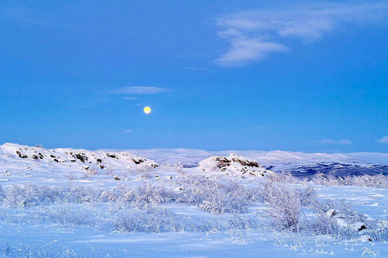 Arctic Circle & Northern Lights - Dalton Highway Winter Tour