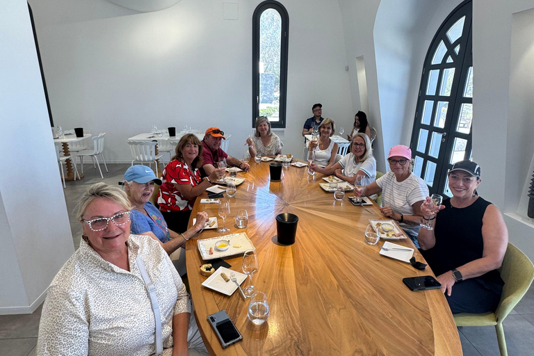 Experiencia privada en Santorini con un conductor-guía localTour privado de 4 horas por Santorini con tu conductor-guía