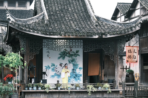 From Hangzhou: Wuzhen Water Town Day Trip & Night Lights