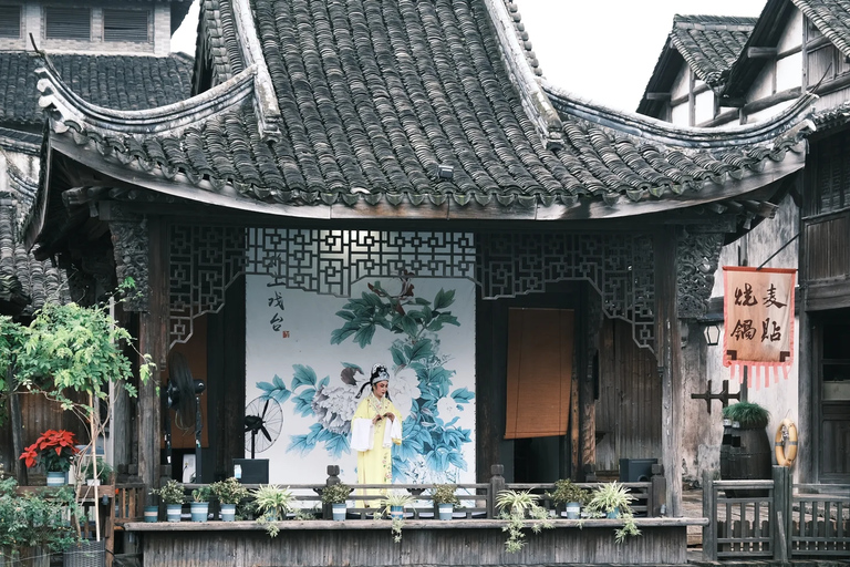 From Hangzhou: Wuzhen Water Town Day Trip & Night Lights