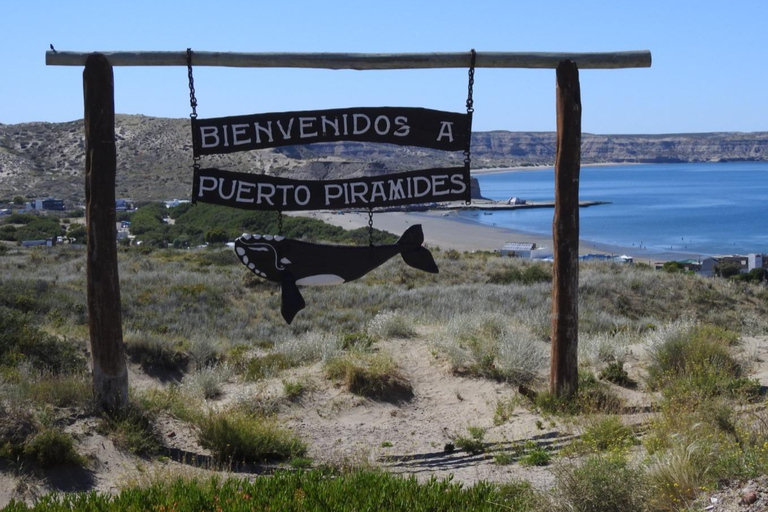 Whales in Peninsula Valdés: Coastal and Boat Whale Watching