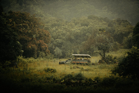 Oahu: Kualoa Open Air Jungle Expedition Tour