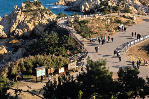 Ulsan: Bangudae Petroglyphs, Onggi Village & Park Tour