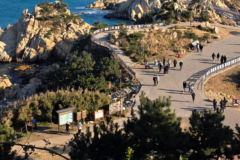 Ulsan: Bangudae Petroglyphs, Onggi Village & Park Tour