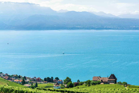 Private Lavaux Vineyards & Montreux Experience