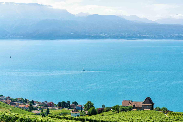 Private Lavaux Vineyards & Montreux Experience