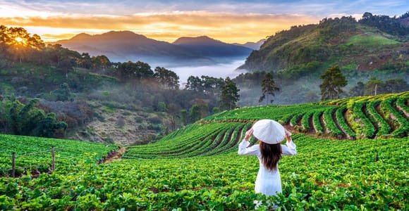 Chiang Mai: Private Doi Ang Khang Day Trip with Driver