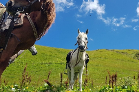 Paardrijtocht in KazbegiPaardrijtocht naar het St. Elia-klooster
