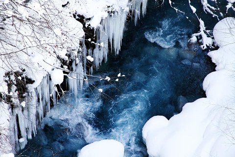 Asahiyama Adventure: Zoo+Waterfalls & Blue Pond Day Tour Meet at Exit 31 of Odori Park Subway Station
