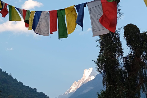 Pokhara: 7-Day Annapurna Base Camp Express Trek