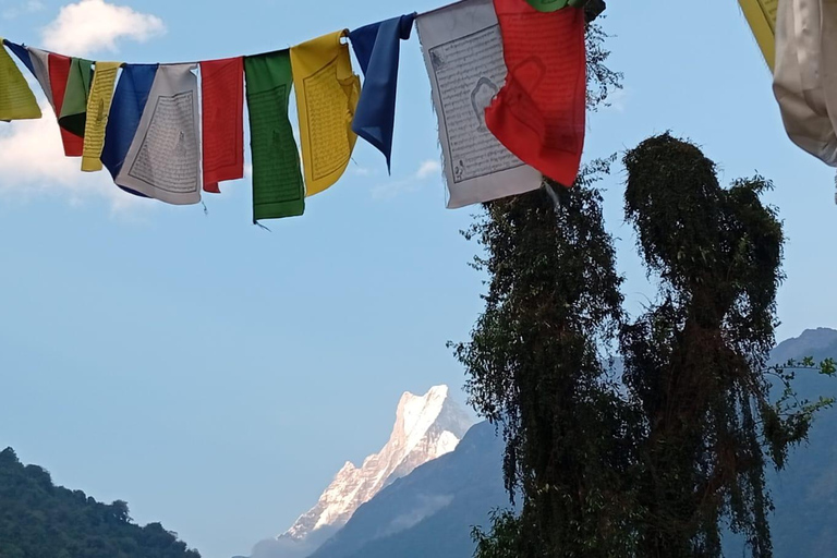 Pokhara: 7-Day Annapurna Base Camp Express Trek