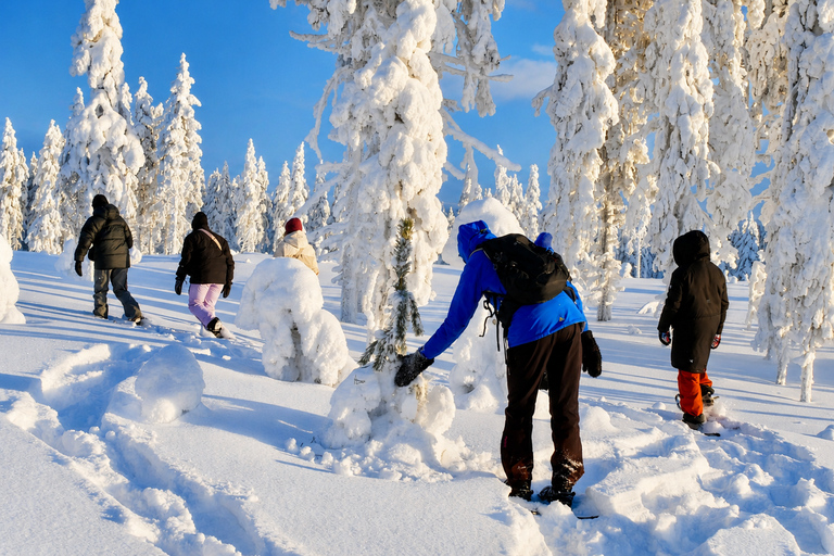 Rovaniemi: Snowshoeing Tour with Wild Lunch and Hotel Pickup