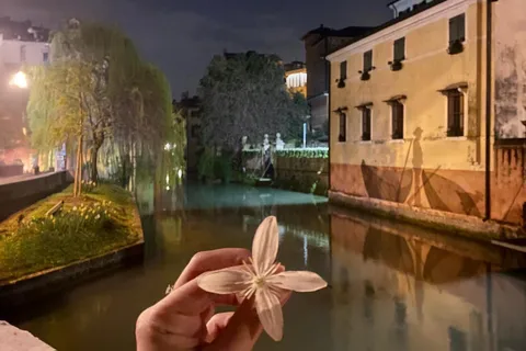 Treviso in tre ore: Passeggiate, cucina e degustazioni