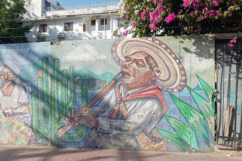 Santa Marta : visite citadine avec entrée à la Quinta de San Pedro