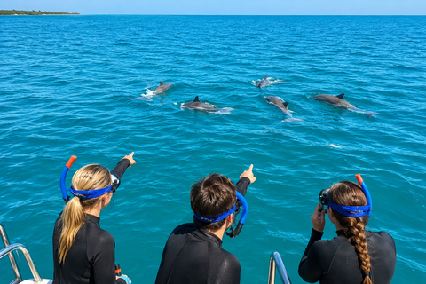 Mauritius: Wild Dolphin Swim and Snorkeling Experience