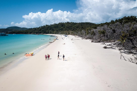 From Daydream: Whitsundays and Whitehaven Half-Day Cruise Afternoon Cruise