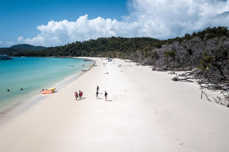 From Daydream: Whitsundays and Whitehaven Half-Day Cruise Afternoon Cruise