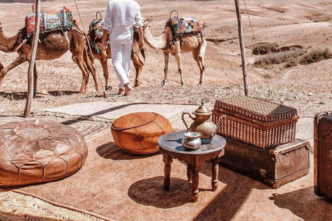 Marrakech: Camel & Quad Bike Tour with Sunset, Dinner & Show
