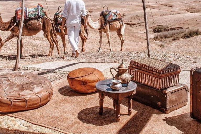 Marrakech: Camel & Quad Bike Tour with Sunset, Dinner & Show