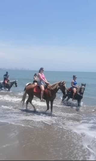 Galería de fotos para redes