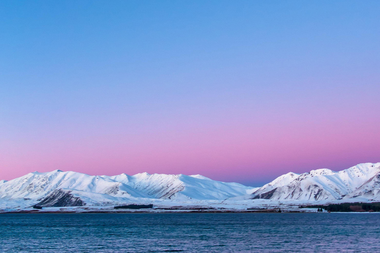 Christchurch : Aoraki/Mt Cook Day Trip with Trotts Garden