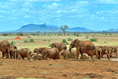 2 Tage nach Tsavo Ost von Mombasa aus