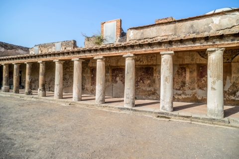 Pompeii: Small-Group Tour with an Archeologist Private Tour in French