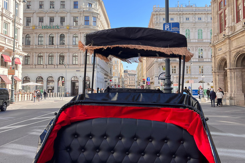 Vienna: Royal E-Carriage Sightseeing Tour incl. Prosecco60 min. Private Royal E-Carriage Tour with drinks