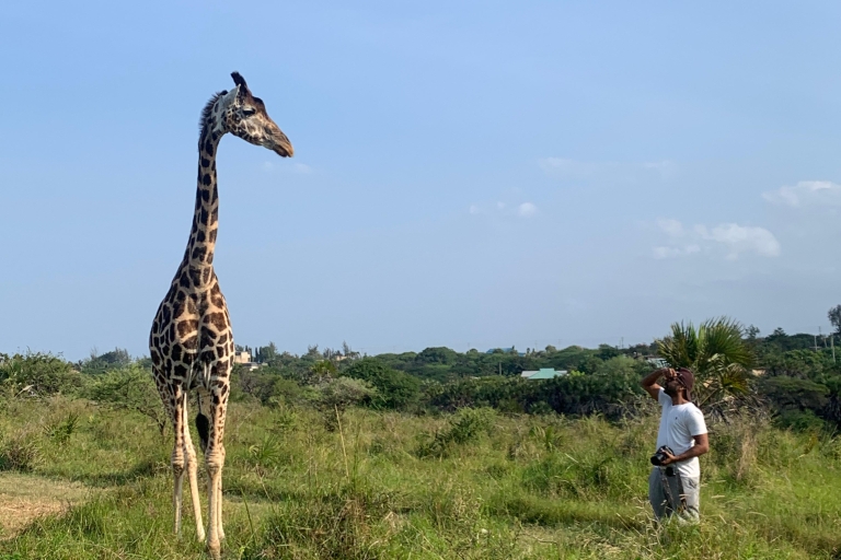 Mombasa: Paseo guiado por la naturaleza entre jirafas