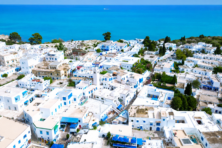 Tunis: Carthage and Sidi Bou Said Tour VIP Hammamet: Tunis, Carthage & Sidi Bou Said Tour
