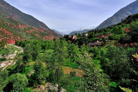 Marrakech: ourika valley & lunch & guided hike to waterfalls