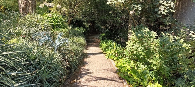 Sintra: Hidden Secrets Mountain Walk with Local Guide