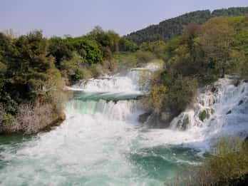 Šibenik or Zadar: Krka falls, olive mill, oil & wine tasting