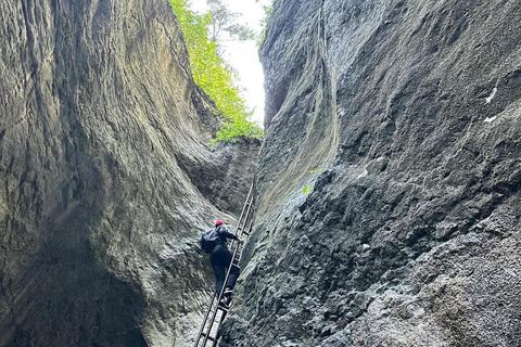 Brașov: Seven Ladders Canyon Guided Hike with Pickup