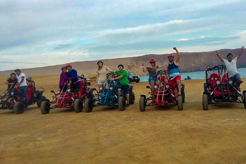 Desde Paracas: Excursión en Buggy por la Reserva Nacional de ParacasPunto de encuentro