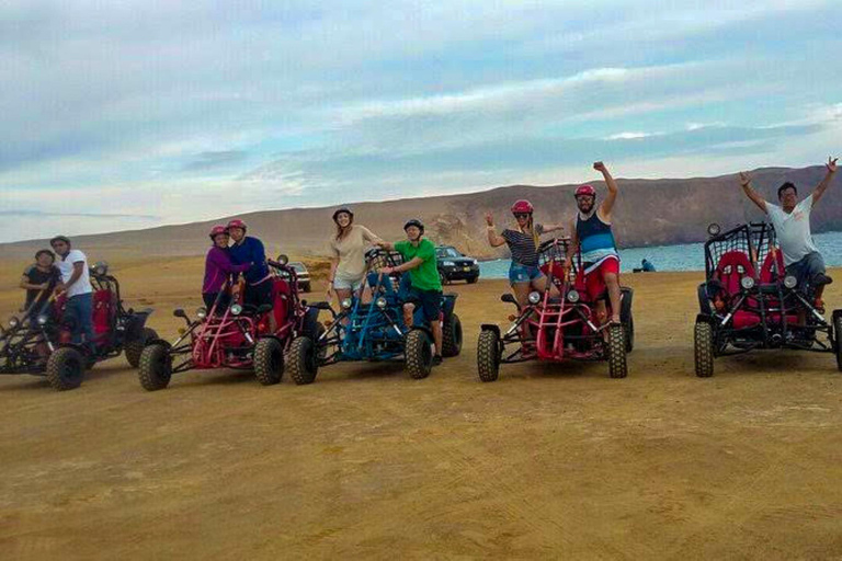 Från Paracas: Buggy-tur i Paracas nationalreservatMötesplats