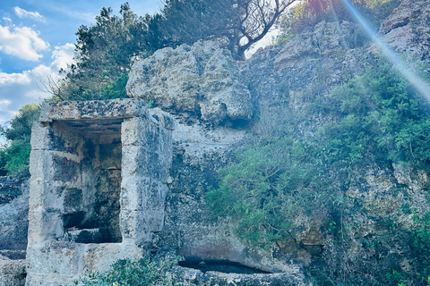 Cala en Blanes: Secret spots for the best dives with a local guide