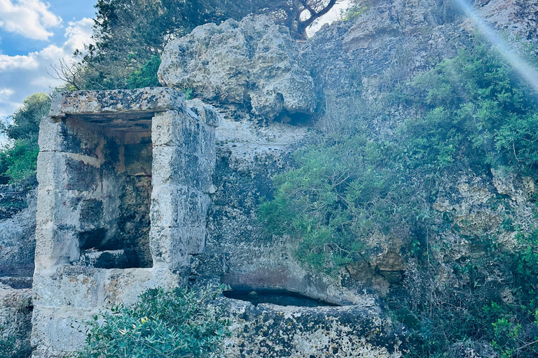 Cala en Blanes: Secret spots for the best dives with a local guide
