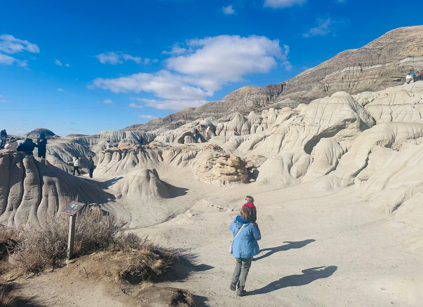 Badlands-tur: Drumheller med museum, hoodoos og dinosaurer