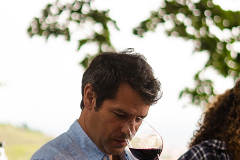 Douro Valley: A Sensory Experience in the Douro: Wines, Olive Oil, and History Douro Valley: Sensory Experience in the Douro: Wines, Olive Oil, and History