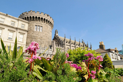 Dublin Private Tour with Skip-the-line Dublin Castle Tickets 3-hour: Old Town Tour with Dublin Castle Tickets