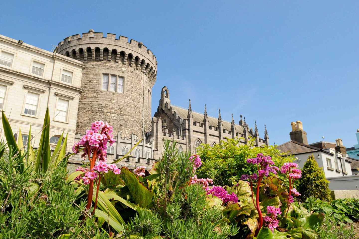 Visite Privée de Dublin avec Accès Prioritaire au Château